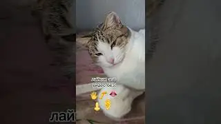 27 октября 2023 г.