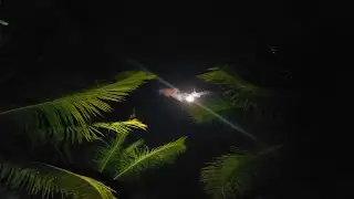 Live Misteri 🔴 Kuntilanak janda hutan jati