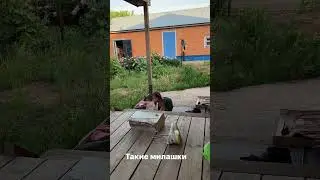 До слез мило🥹🥹🥹                    #видео #shortsvideo #дети #счастье #любовь #семья #мама
