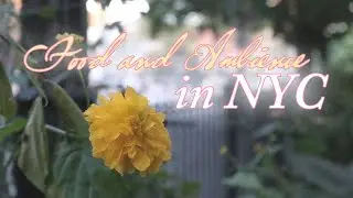 City and Ambiance with Pasta Special