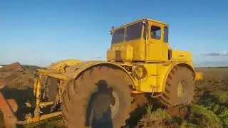 Вспашка залежной земли, К701 бдн2,5М