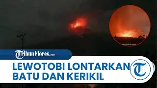 Gunung Lewotobi Laki-laki Meletus, Lontarkan Batu dan Kerikil, Warga Histeris