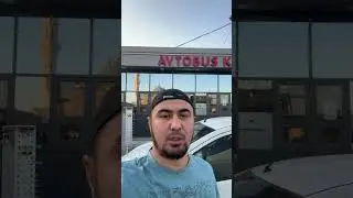 Avtobus Piter Moskva Toshkent в прямом эфире!