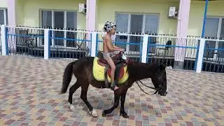Прогулка на пони по Затоке.