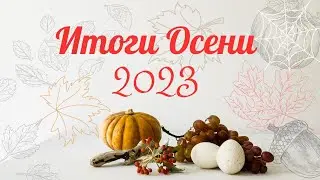 Итоги Осени 2023. / Финиши / Продвижения / Старты