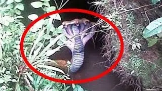 Makhluk Paranormal Yang Tertangkap Kamera