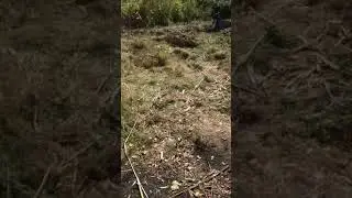 Создаём уют в парке своими руками)