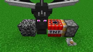 tnt + ender dragon = ???