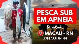 Quando Deus Quer é Assim! Pesca Submarina | Plataformas em Macau-RN #pesca #pescasub #pescasubmarina