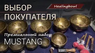 УНИКАЛЬНЫЙ НАБОР ПОЮЩИХ ЧАШ HEALINGBOWL MUSTANG / Купить Поющие чаши / Поющие чаши в Москве