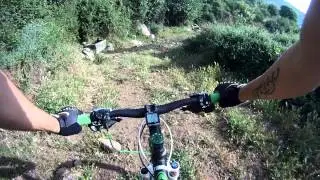 perdidos en la niebla