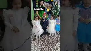 Yangi sher