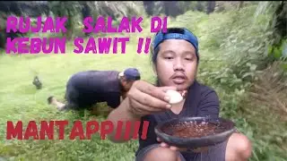 MUKBANG RUJAK SAWIT DAN SALAK DI KEBUN SAWIT‼️