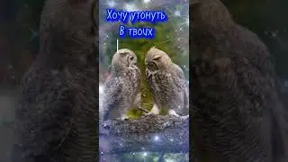 Жду нашей встречи!