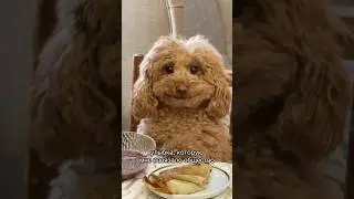 Настоящая улыбка