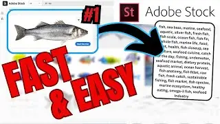 The Best Way To Tag Stock Photos! (Adobe Stock Tutorial)
