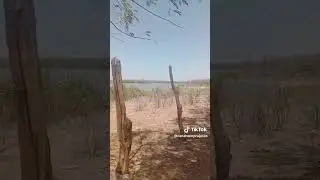 Indo pescar no açude
