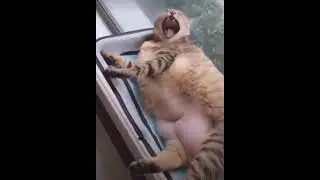 Мне хватает 😋