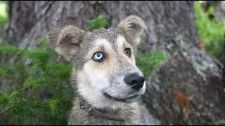 Усть-Кокса