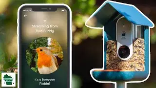 Introducing Bird Buddy! A 