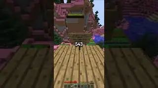Smartest Minecraft Player (999+ iq)
