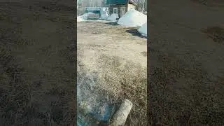 Апрель 24 зима не уходит 