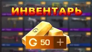 СОБИРАЮ ИНВЕНТАРЬ НА 50 ГОЛДЫ