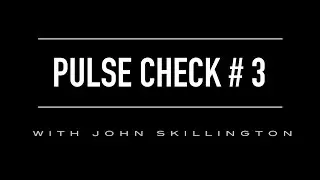 Pulse Check #3 with John Skillington feat. Chelsea Anthon