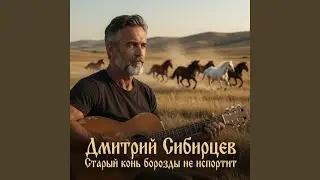 Старый конь борозды не испортит