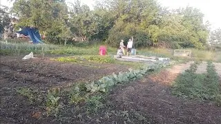 Живём в Ставропольском крае/Лето жаркое, жизнь счастливая 🤗