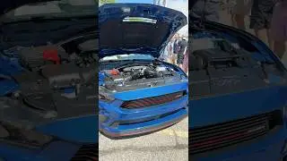 2024 Saleen White Label Mustang first look in person, is it worth $61K+? #Shorts #Mustang #Saleen