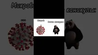 АХАХАХА😂 Без комментариев #юмор #shorts #кунгфупанда #смех #shortsvideo