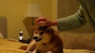 MR  PRANKSTER  WHERE IS SATAN   Где Сатана