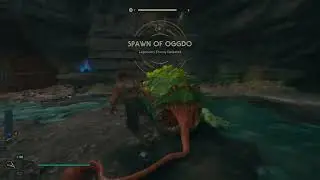 I have zero regrets