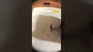 Я чикарь 