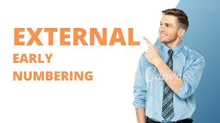 External Early Numbering in SAP RAP | Behaviour Definition