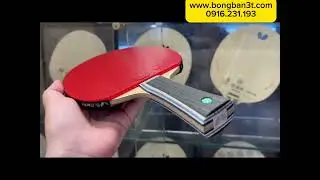 Vợt bóng bàn Butterfly Nội Địa Nhật cao cấp #ViscariaSuperALC #Dignics05 #Dignics64