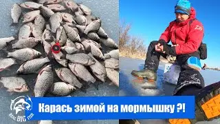 Карась зимой на мормышку ?!