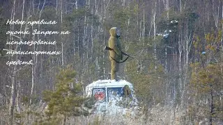 Важно! Охота с транспорта. Законно ли?