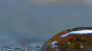Hanya kerena tamak