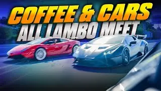 Lamborghini Meet Street Cruise 🚀🔥