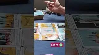 AMOR Enrolados e Solteiros Minutagem descrita para cada área 