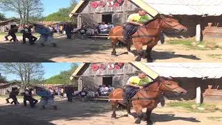 Horse vs five men for 3DTV set or Smart TV with 3D function
