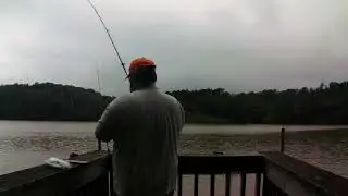 Strange catch
