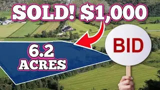 Never Buy Auction Land Until You Know This!