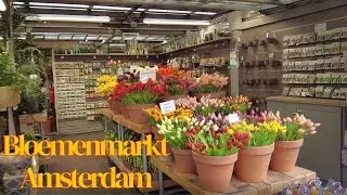 Bloemenmarkt Amsterdam walking tour | Flower Market in Amsterdam walking tour [4K]