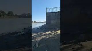 18 августа 2024 г.