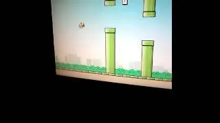 Master of flappy Bird😒