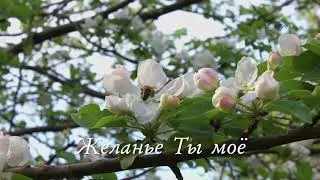 Приблизь меня к Себе