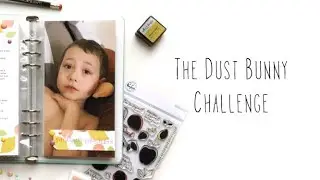 The Dust Bunny Challenge with Kira